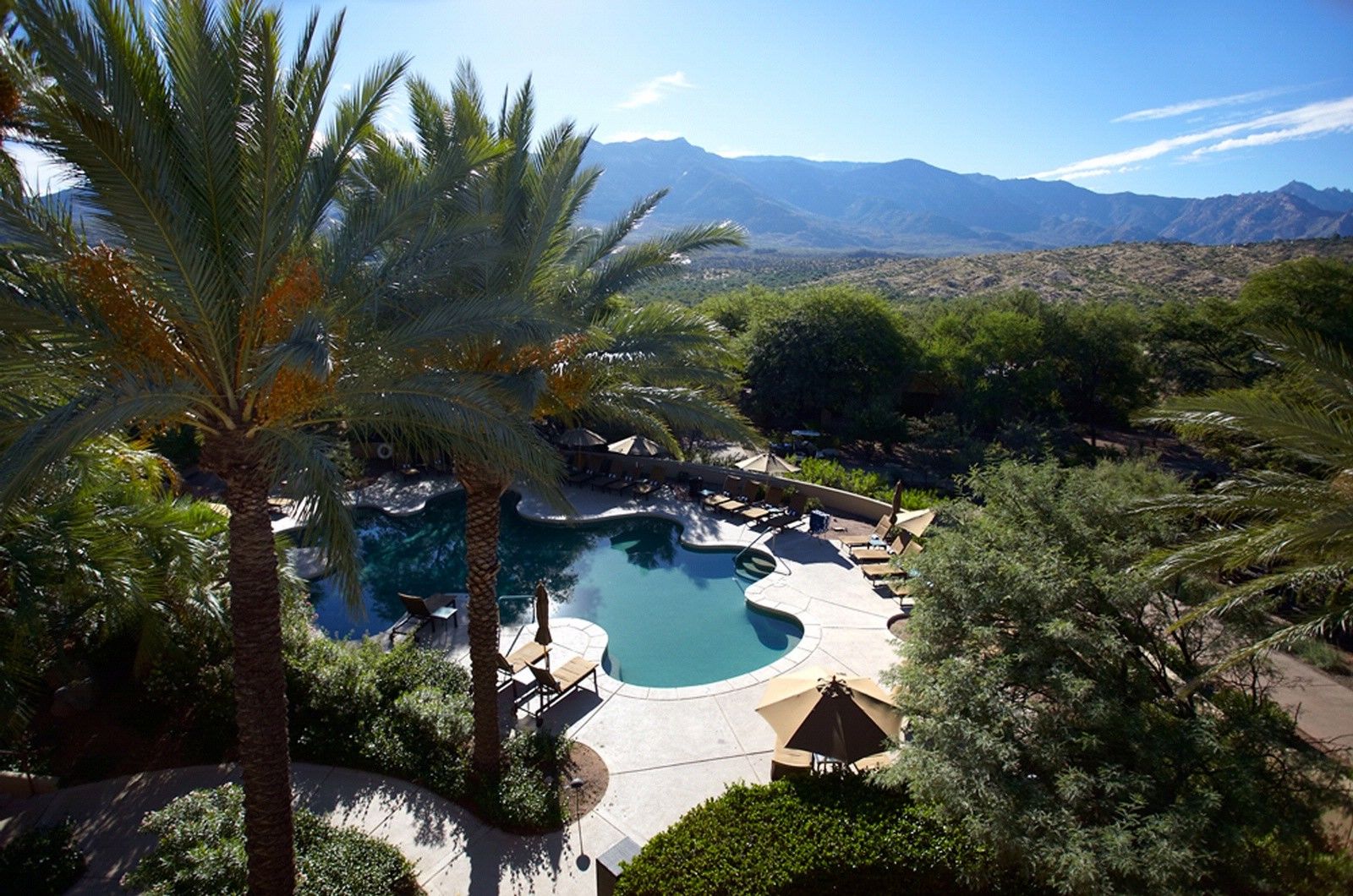 Miraval Resort & Spa (Adults Only) Catalina Kemudahan gambar